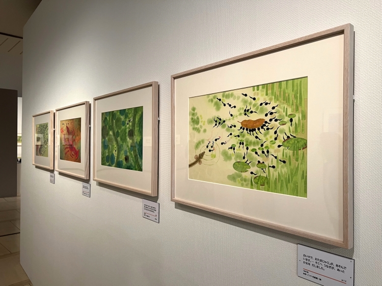 第一章「紙芝居からの出発　こぐま社との出会いまで」展示風景より。『りぼんをつけた　おたまじゃくし』（1967年・野村トーイ）
