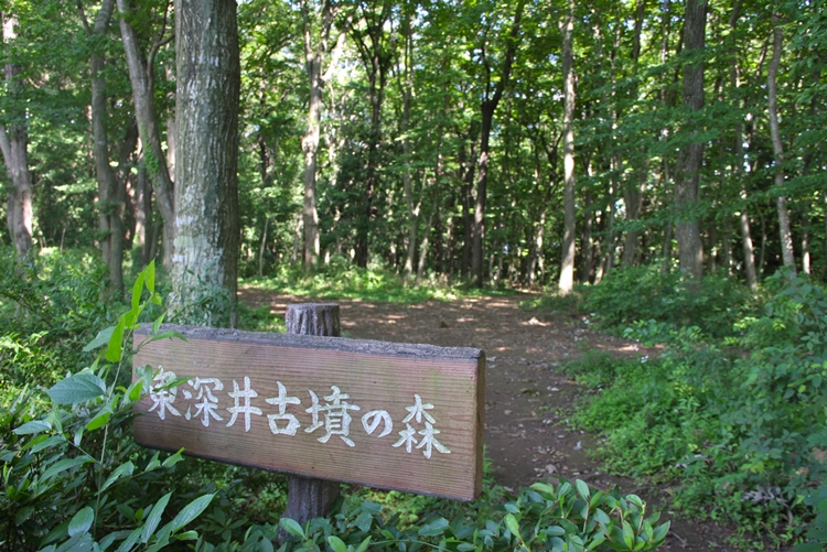 提供：流山市観光協会