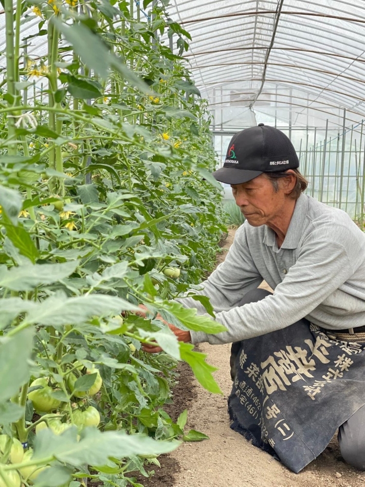 「平野ファーム」代表の平野さん。
平野ファームでは、吹田くわいをはじめ、約160品目の野菜や果物が栽培されている
画像提供：合同会社　知己