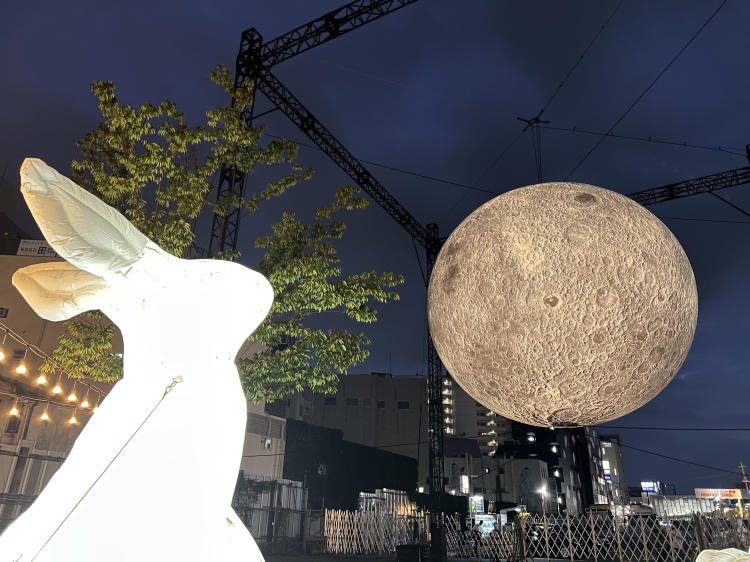 ウサギ：Amanda Parer「Intrude」　月：Luke Jerram「Museum of the
Moon」
