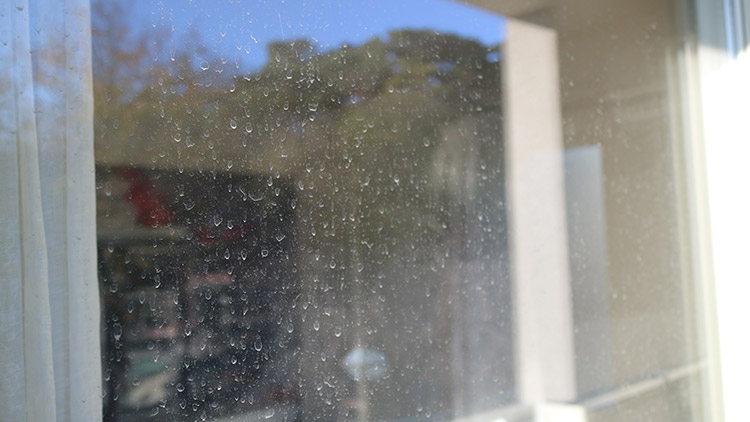 ▲雨が降った後は、特に汚れが目立ちます。