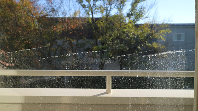 ▲上半分は綺麗に、下半分は汚れが残っている状態です。