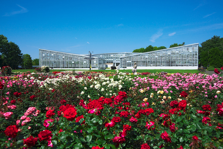 神代植物公園のばら園