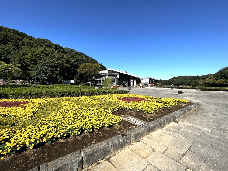 21世紀の森と広場