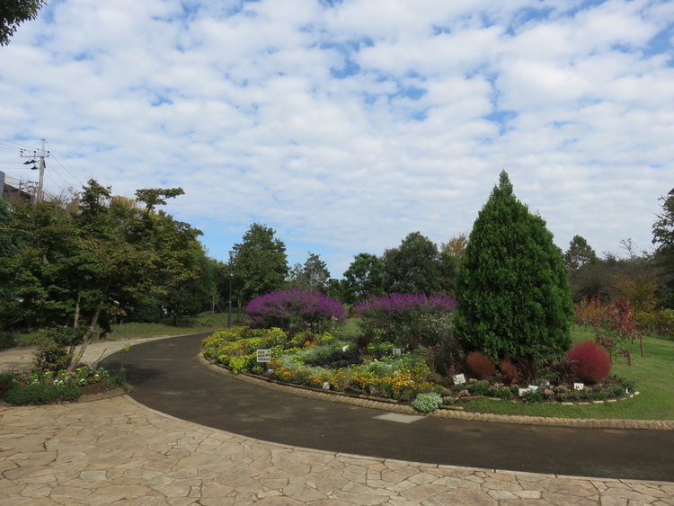 東松戸ゆいの花公園