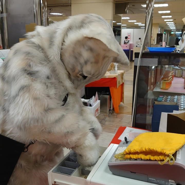 お金の扱いにも慣れているミクちゃん
画像提供：坂の上の猫