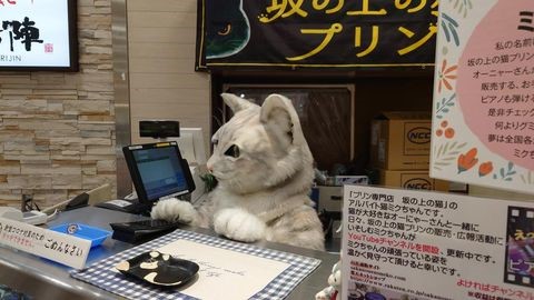 店番をするミクちゃん
画像提供：坂の上の猫