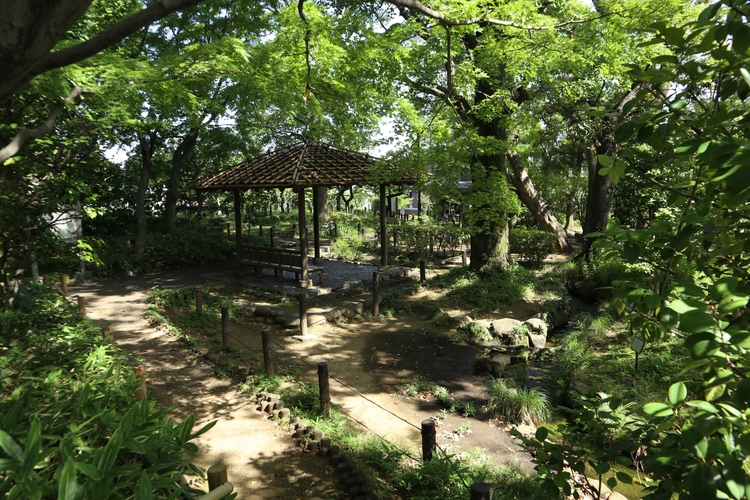 蘇峰公園