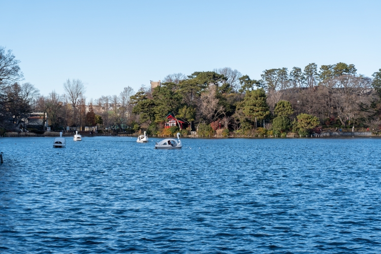 洗足池公園