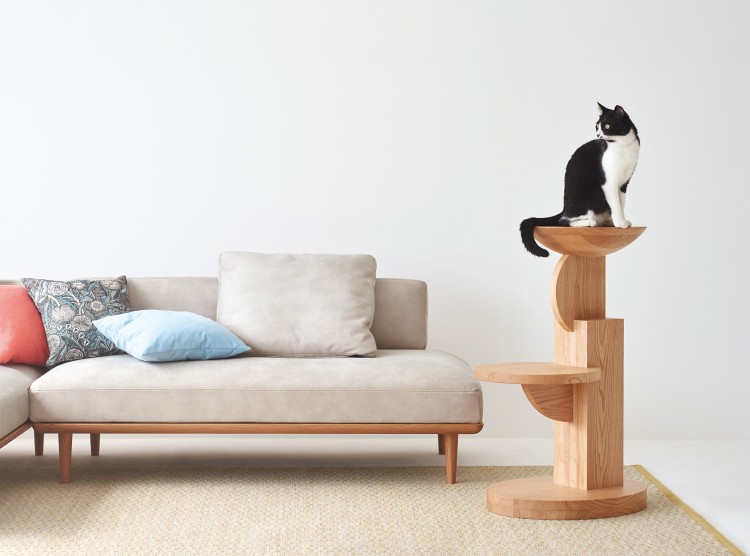 猫は人間に興味津々。ソファの側に置けば、のぼってじっと見つめてくるはず