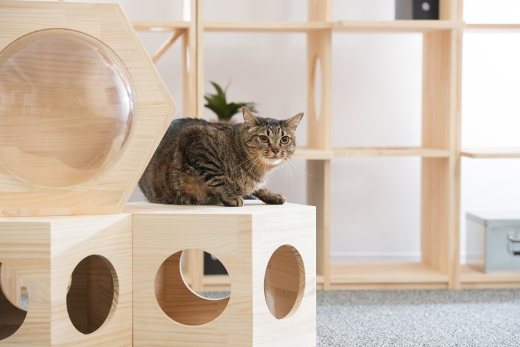 据え置きで使用すれば、高さがそれほど出ないのでシニア猫も安心して遊べる