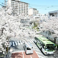 赤羽の地元民が楽しみにしている
イベントをご紹介