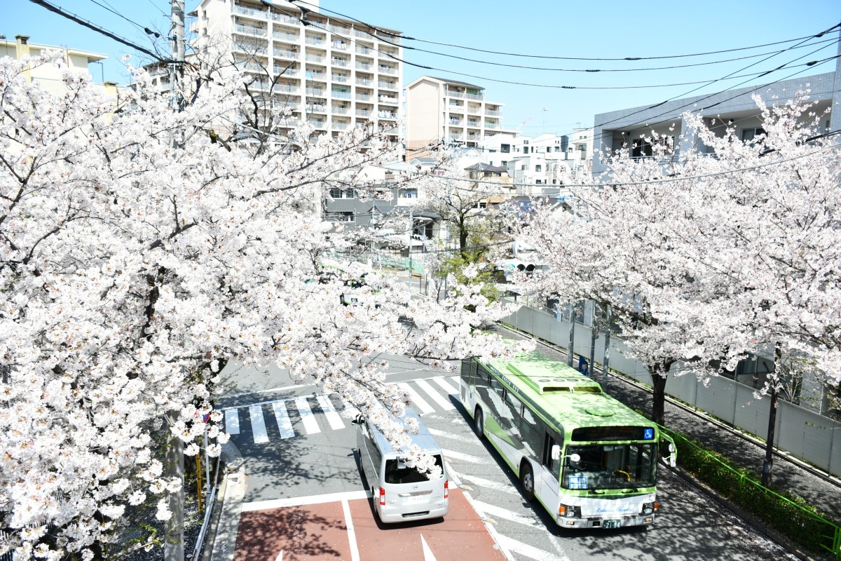 【地元民が集う場所】“ディープな街”から“エモい街”へ　住みやすさ満点の赤羽～後編～