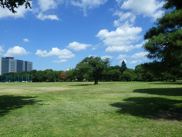 広大な原っぱ広場
写真提供：（公財）東京都公園協会