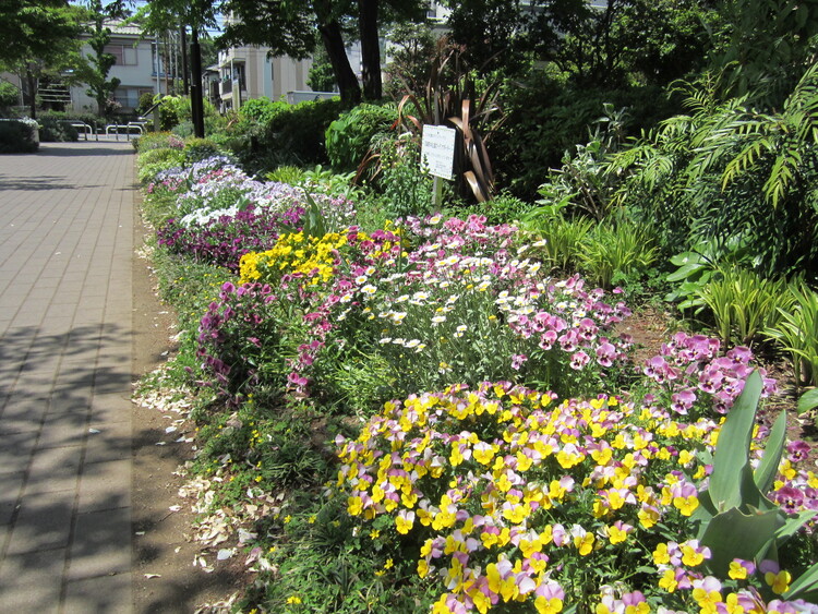 公園のあちこちに咲く花を眺めるのも楽しい
写真提供：（公財）東京都公園協会