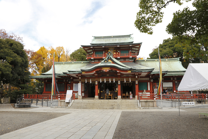 富岡八幡宮
資料提供：江東区広報広聴課