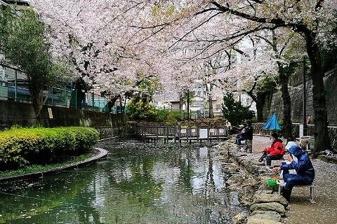 自然豊かで落ち着いた雰囲気