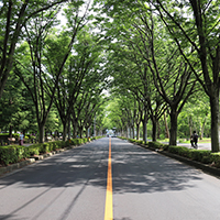 和光市の先の注目エリア、朝霞市の住みやすさ解説記事はこちら