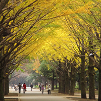 緑豊かでファミリー層に人気。東京・練馬区の住みやすさは？
