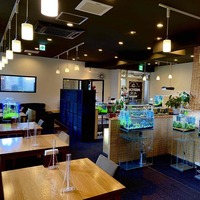 個性豊かなメダカを購入できるショップ3選～初心者でも楽しめる「メダ活」vol.3～