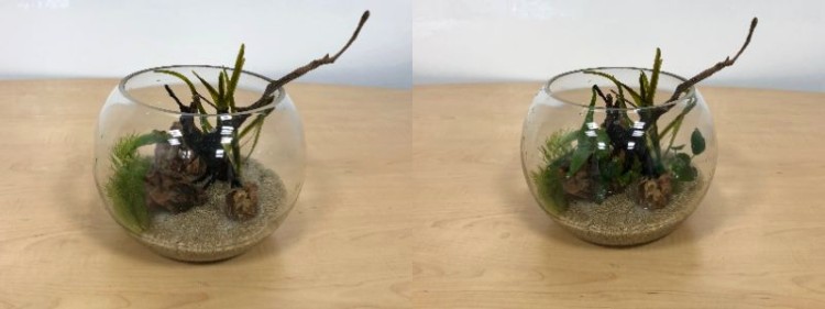 流木と石のまわりに水草を植え込んでいきます