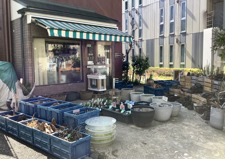 ブルーグリーン×白のオーニングが目印。店頭には水草や流木がずらり！