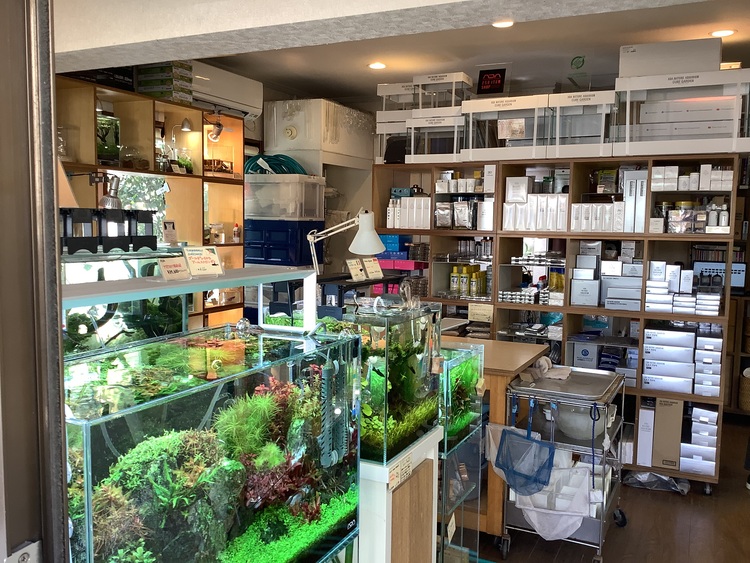 店内には大きな水槽があり、200種類以上の生体が待つ