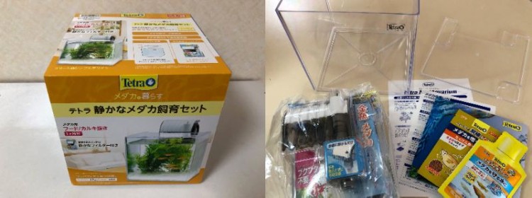 子どもの頃を思い出す飼育セット（左）。水槽、フィルターのほかカルキ抜きと餌付き（右）