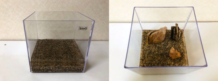 麦飯ジャリを敷いたところ、1kgでは足りない予感（左）。石と流木は後ろの方に配置（右）