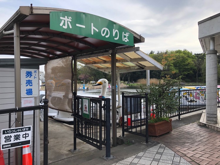 久しぶりに乗ってみたくなるスワンのボート