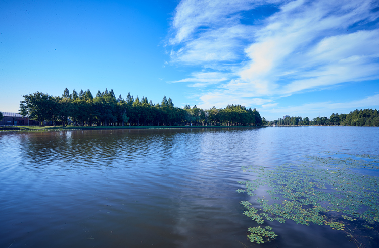水元公園
© （公財）東京観光財団