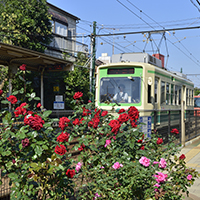【東京23区】下町情緒と暮らしやすさが共存する荒川区