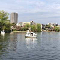 スワンボートやカレーライスなど昭和が香る。石神井公園　～vol.1 散策編～