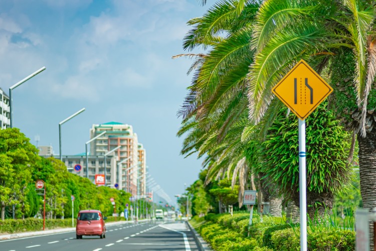 整備された道路と植物がリゾート感を醸し出す