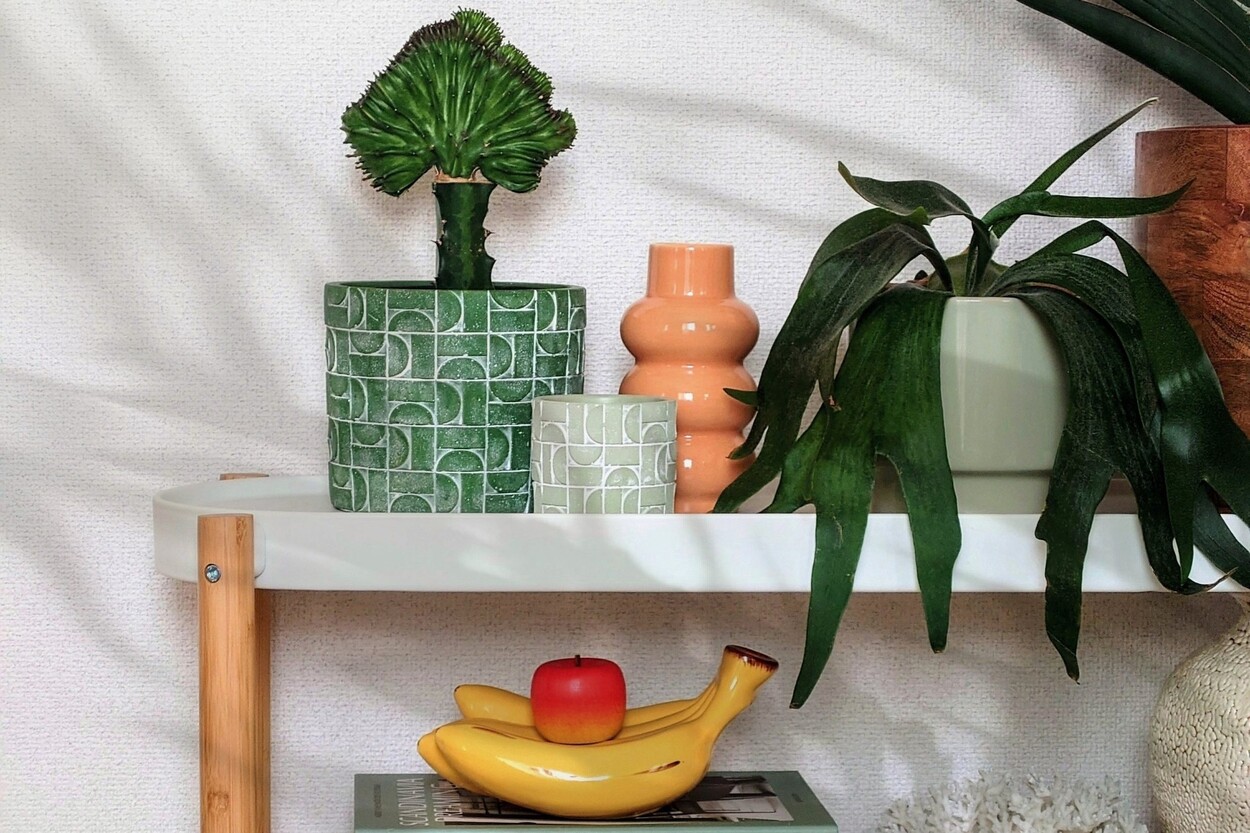 【スタイリストに聞く】お部屋に涼やかさをひとさじ！初夏のインテリアアイデアのコツ