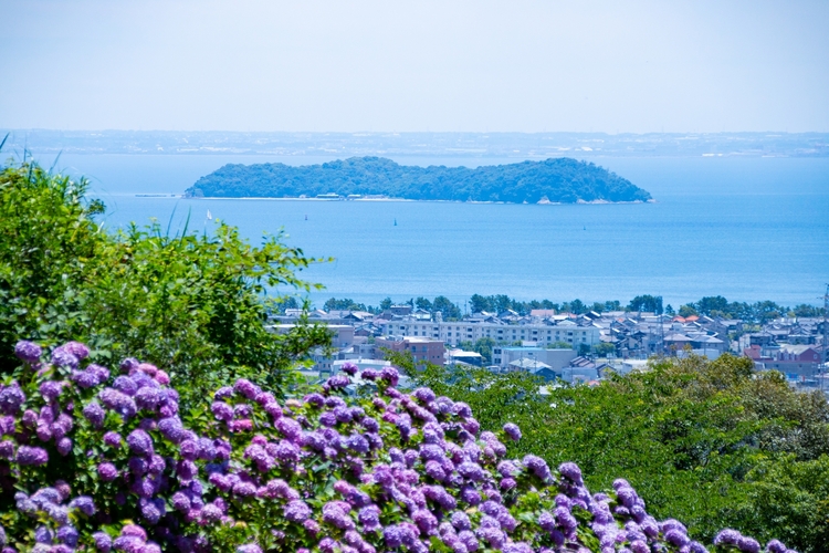 あじさいの里と三河大島