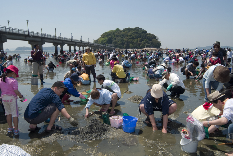 潮干狩りでにぎわう竹島海岸