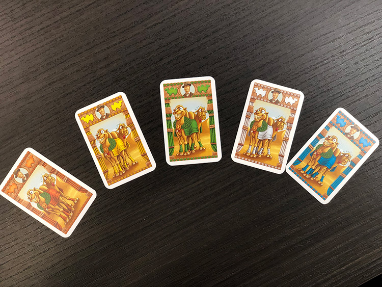 ▲ゲーム終了時に勝つと思うラクダに賭ける時のカード。カードは他の人に見えないように置きます。レース全体の敗者に賭けることも可能。それぞれのラクダに最初に賭けた人が一番多くコインをもらえるので、スタートしてすぐ賭けに出たいけれど、予想がなかなか難しいんです