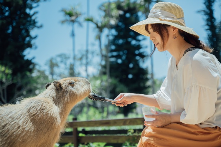 動物ふれあい広場