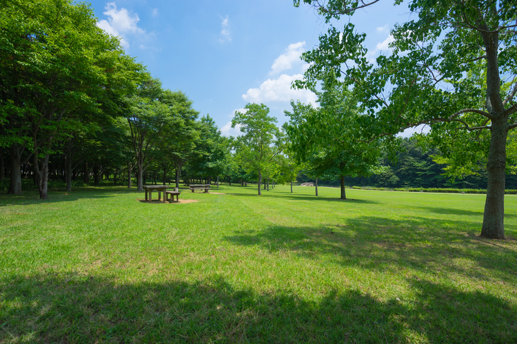 北総花の丘公園　芝生広場