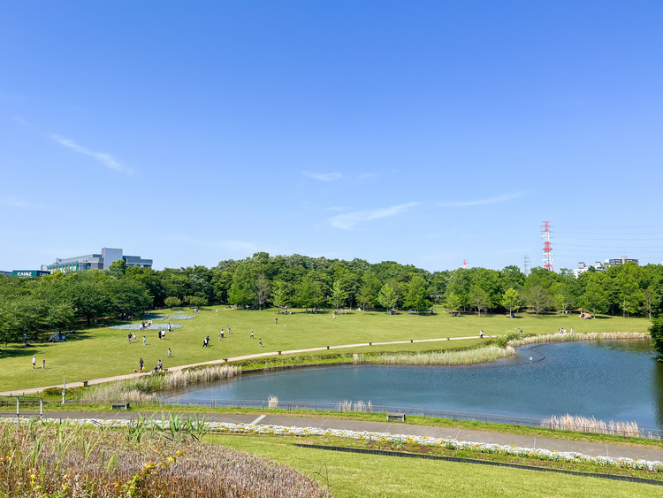 池や木々、小川など自然と触れ合える