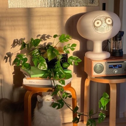 リビングでも音楽を楽しめるよう、オーディオをアルテックのスツールの上へ