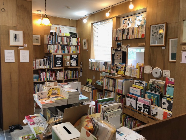 外観からは予想もしなかったほど、店内には大量の猫本が！
