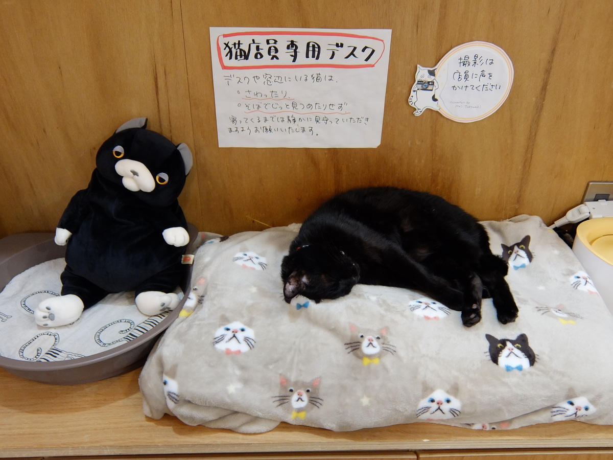 【地元民が集う場所】商店街＆路地裏のぶらり街歩きが楽しい三軒茶屋～vol.2西太子堂編～
