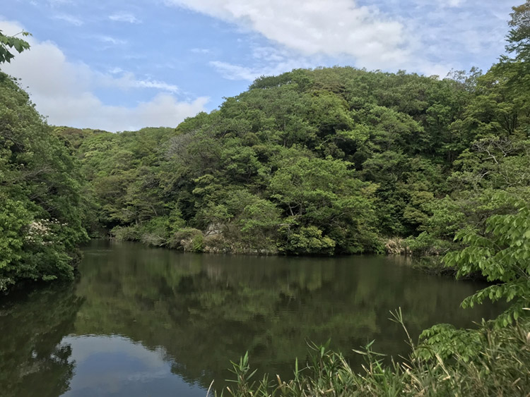 ▲ハイキングコースもある久木大池公園（提供：逗子市）