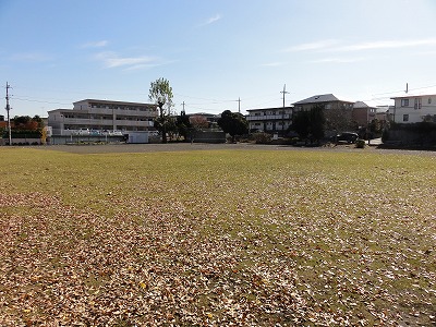 あざみ野東公園の様子