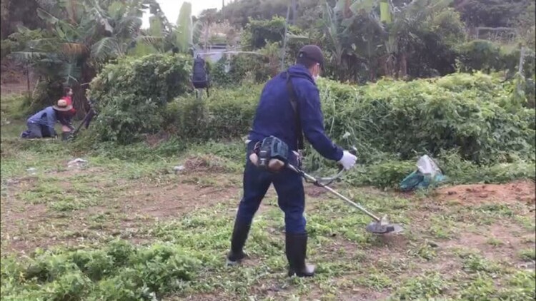 移住してから2年が経った頃から畑を借りて農業をスタート