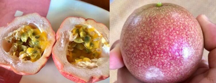 手塩にかけて育てた、パッションフルーツの第一号