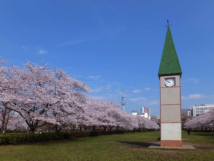 猿江恩賜公園中央広場