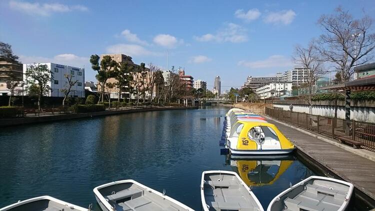 横十間川親水公園の貸しボート場